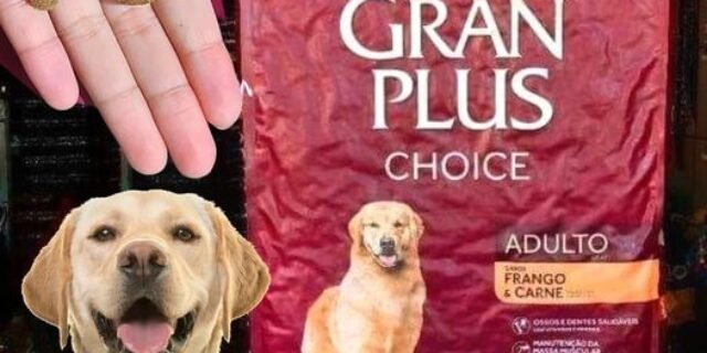 Ração GranPlus Choice Frango e Carne Cães Adultos 10,1kg