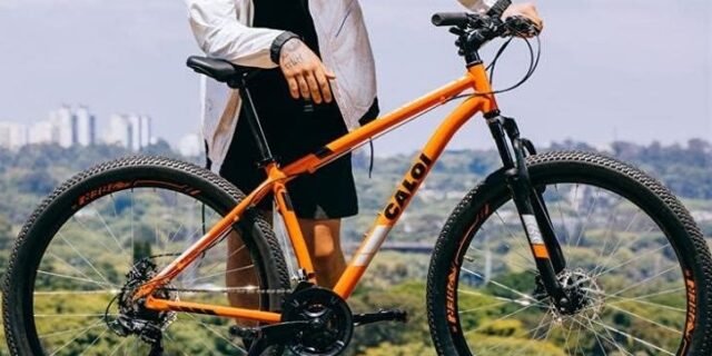 Bicicleta Mtb Caloi Two Niner Alloy Aro 29 – Susp Dianteira – Quadro Alumínio – Shimano – 21 Velocidades – Freio a Disco