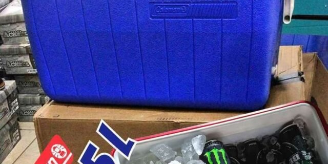 Caixa Térmica 28 QT (26,5 L), 36 Latas, Coleman