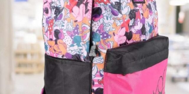 Mochila Xerys Disney Minnie Desenhos – Xeryus