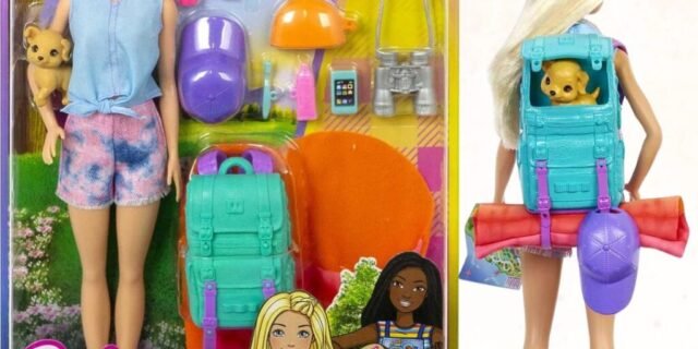 Barbie Barbie Malibu Dia de Acampamento, Multi