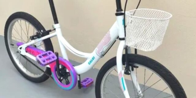 Bicicleta Caloi Ceci SR Aro 20