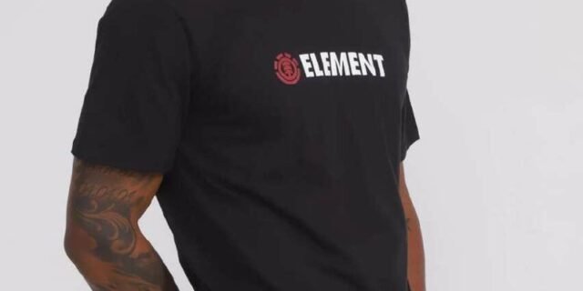 Camiseta Element Blazin