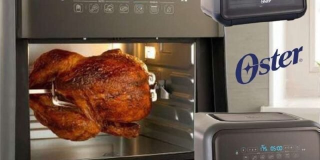 Fritadeira Super Fryer 10L Oster 3 em 1