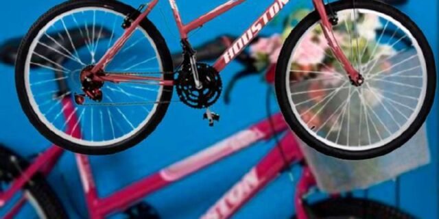 Bic. Foxer Maori Aro 26