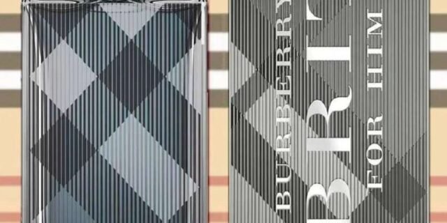 Brit for Him Burberry Masculino EDT 100ml