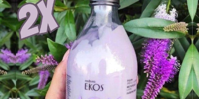 Conjunto Ekos Açaí 2 un de 400ml