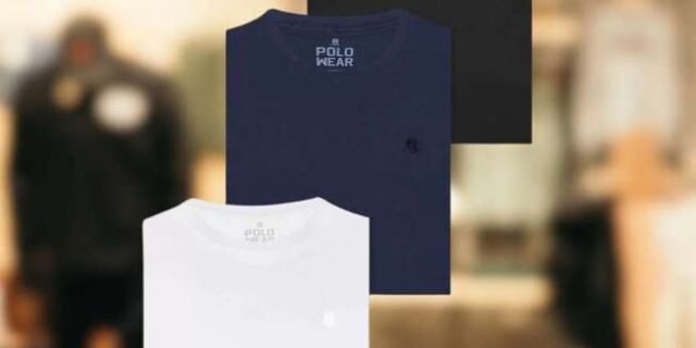 Kit 3 Camisetas Masculinas 100% Algodão Polo Wear Sortido