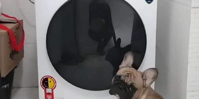 Máquina de Lavar Midea HealthGuard Smart 11kg