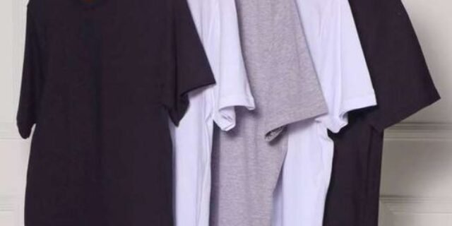 Kit Com 5 Camisetas Masculinas Básicas Hering