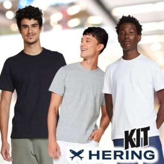 Kit Com 5 Camisetas Masculinas Básicas Hering