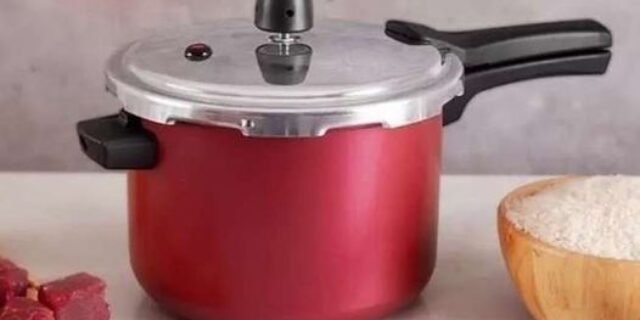 Panela de Pressão Panelux 4,5L Cereja Fechamento Externo Magnific