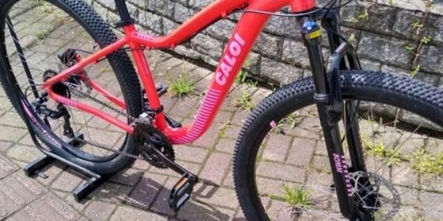 Bicicleta Caloi Evora TP CALOI EVORA TP A22