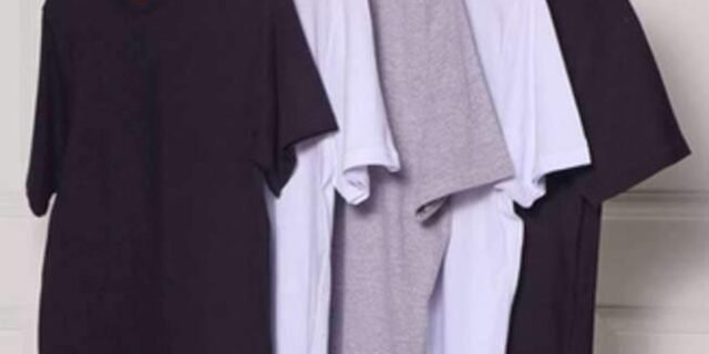 Kit Com 5 Camisetas Masculinas Básicas Hering