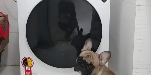 Lava e Seca 10,5kg Midea HealthGuard Branca Conectada 127v