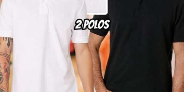 Kit Com 2 Camisas Polo Básicas Masculinas Hering