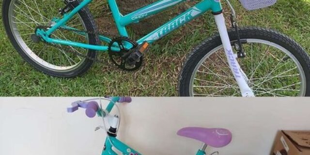 Bicicleta Track & Bikes Aro 20 Cindy