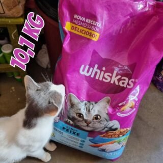 whiskas Ração Whiskas Para Gatos Adultos Castrados Sabor Carne – 10,1Kg