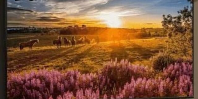 Samsung Smart TV 75″ QLED 4K Q60D 2024