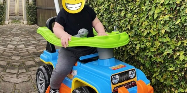 Carrinho com Chassis Jip Jip, Maral