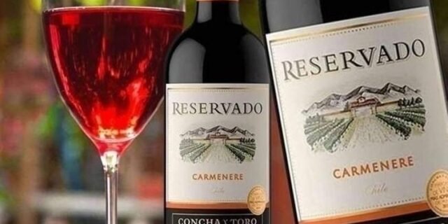 Vinho Chileno Reservado Carmenere 750ml