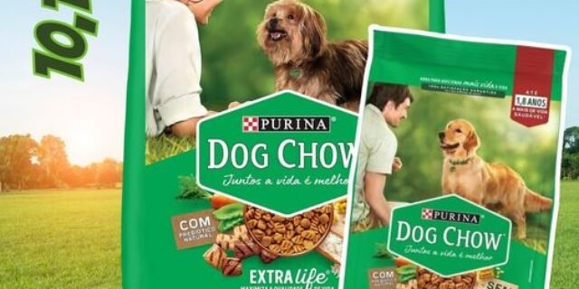 Purina Dog Chow Ração Cães Adultos Pequenos Dog Chow Carne E Frango 10 1Kg