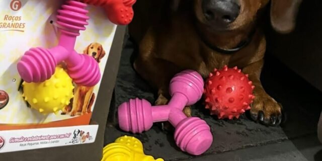 Furacão Pet Kit Raças Grandes N02 Para Cães 3 Unidades (Cores Sortidas)