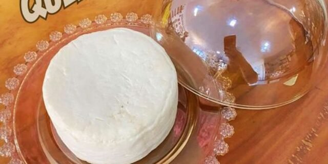 QUEIJEIRA CRISTAL DAISY WOLFF 19,5x13CM ÂMBAR