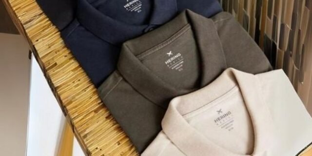 Camisa Básica Masculina Polo Piquet Hering