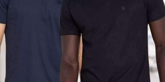 Kit 2 Camisetas Masculinas Básicas Polo Wear Sortido