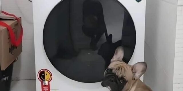 Lavadora de Roupas Midea HealthGuard Smart 11KG