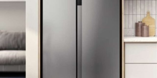 Geladeira Electrolux Side By Side Efficient Autosense (is4s) Cor Inox 110v