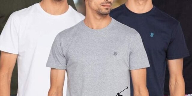 Kit 5 Camisetas Masculinas 100% Algodão Polo Wear Sortido