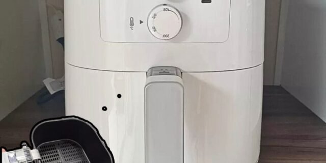 Air fryer Philips Spectrum RI9201 RI9201 4.1L 127V