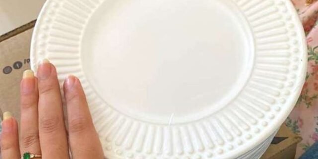 Conjunto 6 Pratos De Sobremesa Roma Branco Liso 20.5 cm Porto Brasil