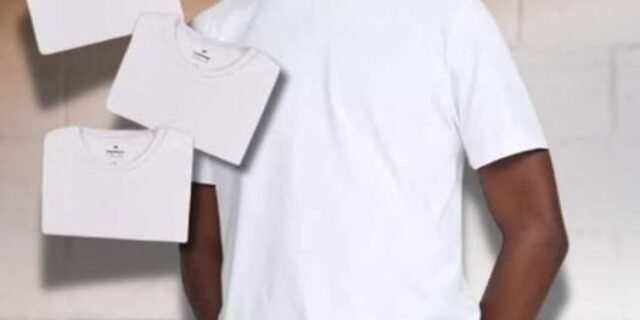 Kit Com 3 Camisetas Masculinas Básicas Hering