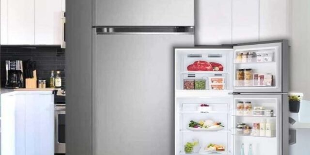 Geladeira/Refrigerador LG Frost Free 395L Duplex – GN-B392PLM2 Compressor Inverter 220V