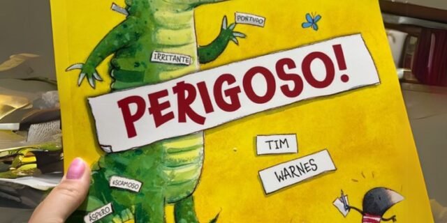 Livro – Perigoso! Capa comum