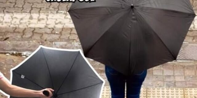 Mor – Guarda-Chuva Preto Alabama