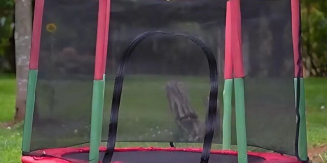 Cama Elástica Pula Pula Infantil Trampolim 1,4 Metros