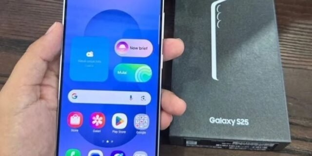 Samsung Galaxy S25 5G 256GB