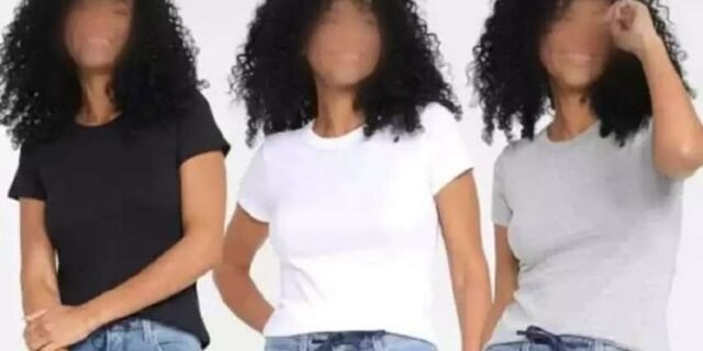 Kit Camiseta Hering Básica Feminina 3 Peças