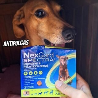 Nexgard Spectra Antipulgas e Carrapatos para Cães de 7,6 a 15kg