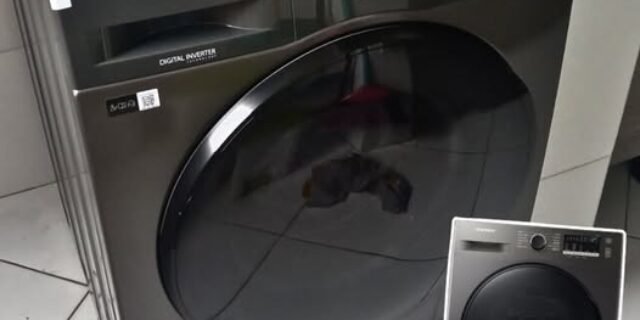 Lavadora Digital Inverter Samsung Porta Black WW11T Inox 11kg