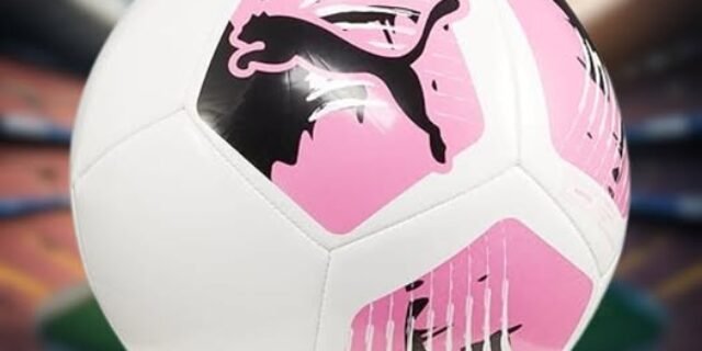 Bola Puma Big Cat Ball