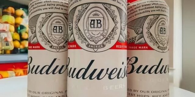 Pack de Budweiser Lata 473ml, 12 Unidades