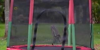 502281460_1142165324593773_3099193952661165786_n