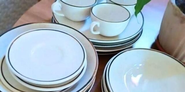 Jogo De Jantar E Chá 20 Peças Unni Brisa Oxford Aw20-5903