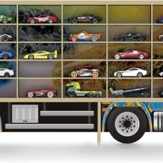 Painel Expositor 35 Carrinhos Hot Wheels – Junges