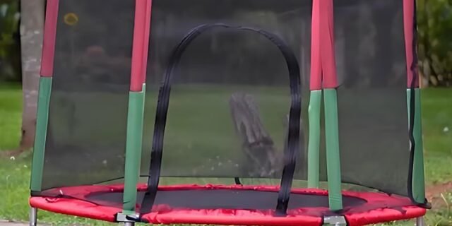 Cama Elástica Pula Pula Infantil Trampolim 1,4 Metros